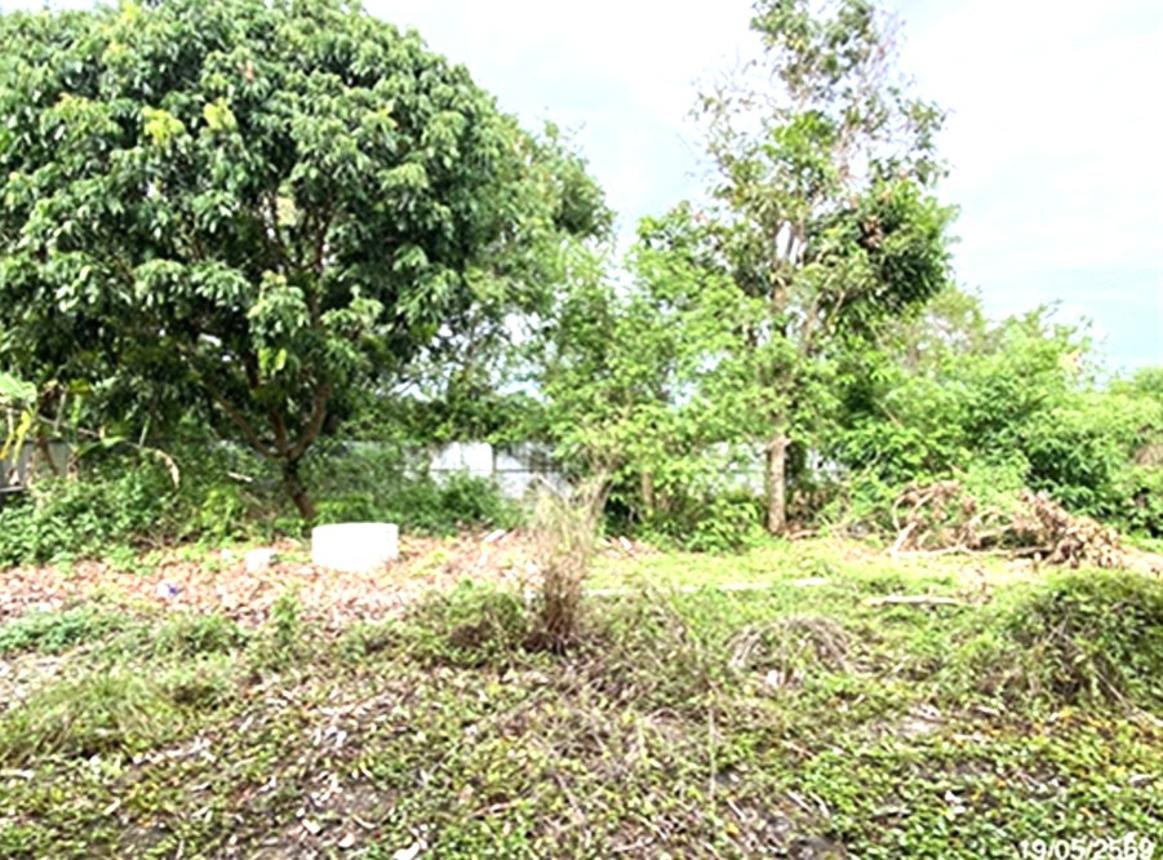 รูป ที่ดินว่างเปล่า 361.9 ตร.วา จะนะ สงขลา 1.5M - รูปที่ 15/25