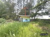 listing thumbnail image 38