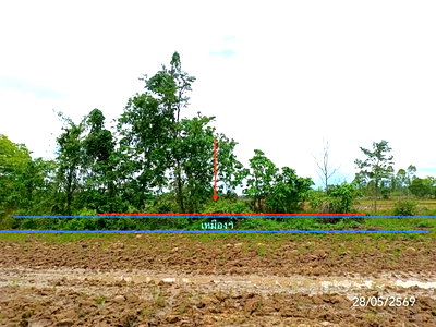 ขายที่ดิน : ที่ดินว่างเปล่า 1292.7 ตร.วา เมืองพะเยา พะเยา 860,000