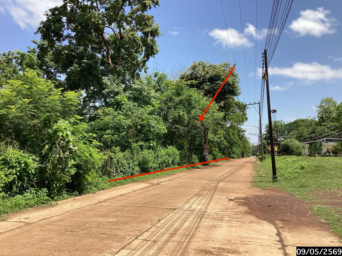 รูป ที่ดินว่างเปล่า 1815 ตร.วา กุสุมาลย์ สกลนคร 1.8M - รูปที่ 12/21