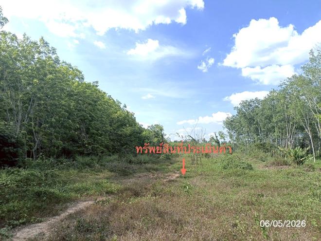 รูป ที่ดินว่างเปล่า 3226.4 ตร.วา ห้วยยอด ตรัง 2.4M - รูปที่ 6/19