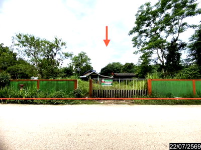 บ้านเดี่ยว วังสะพุง เลย : บ้านเดี่ยว 236 ตร.วา วังสะพุง เลย 1.7M