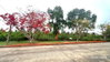 listing thumbnail image 17