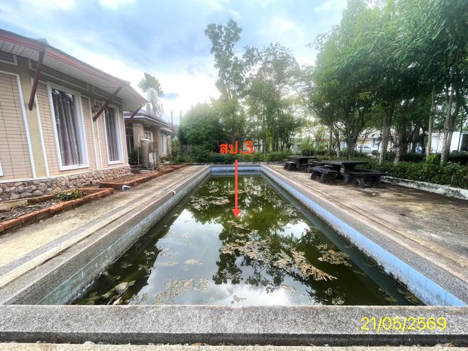 รูป บ้านเดี่ยว 400 ตร.วา ควนขนุน พัทลุง 2.8M - รูปที่ 11/31