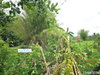 listing thumbnail image 18