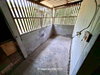 listing thumbnail image 27