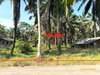 listing thumbnail image 23