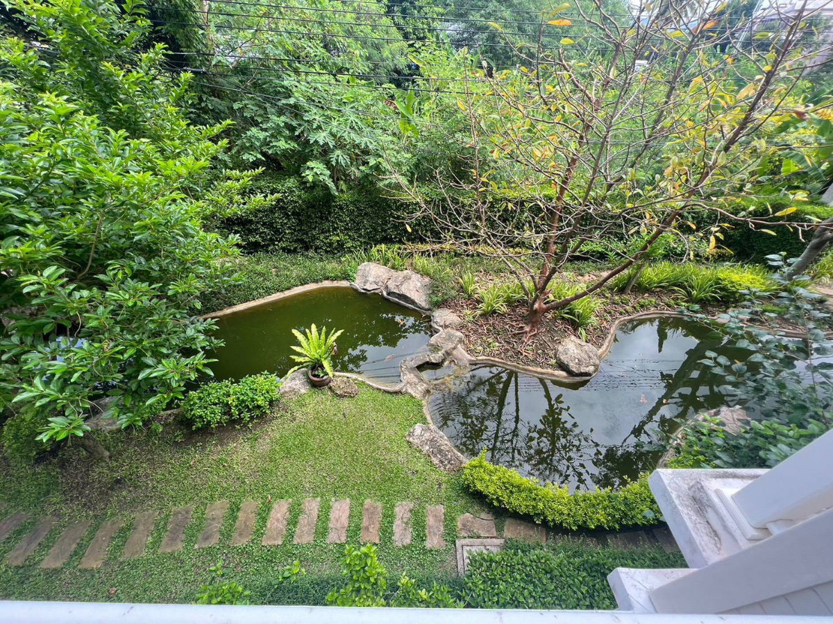 รูป ขาย เช่า คอนโดบ้านทิวเขา เขาใหญ่ ( Baan Tiew Khao ) ตึก B ชั้น 2 ขนาด 28.59 ตร.ม. คอนโดตากอากาศ วิวสวย อากาศดี ติดถนนธนรัชต์ - รูปที่ 10/12