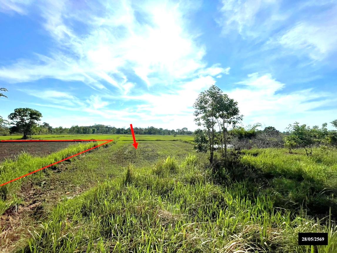 picture LAND 6771 Sq.w. Renu Nakhon Nakhon Phanom for 2.7M - 11/17