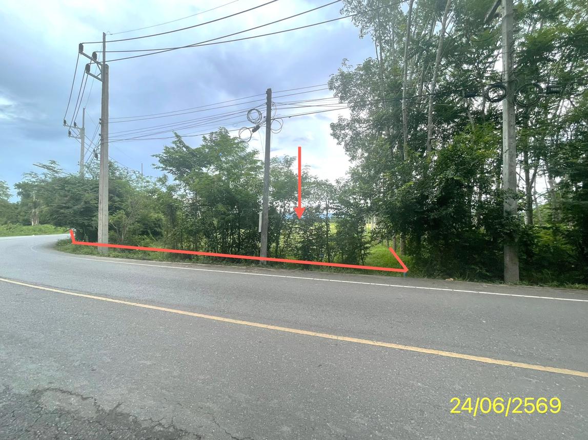 picture LAND 785 Sq.w. Hat Yai Songkhla for 4.5M - 12/21
