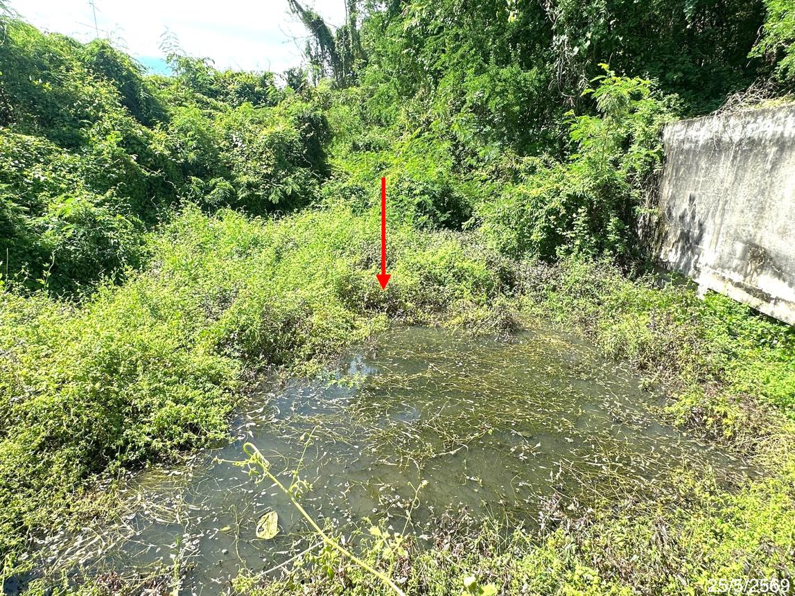 picture LAND 220 Sq.w. Thap Khlo Phichit for 1.3M - 14/19