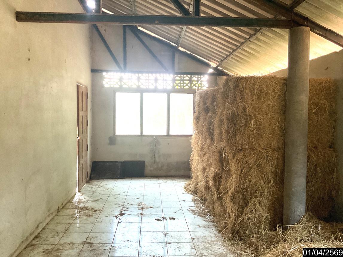 picture LAND 1709.6 Sq.w. Pa Bon Phatthalung for 2.5M - 14/25