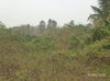 listing thumbnail image 21