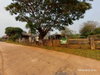 listing thumbnail image 32