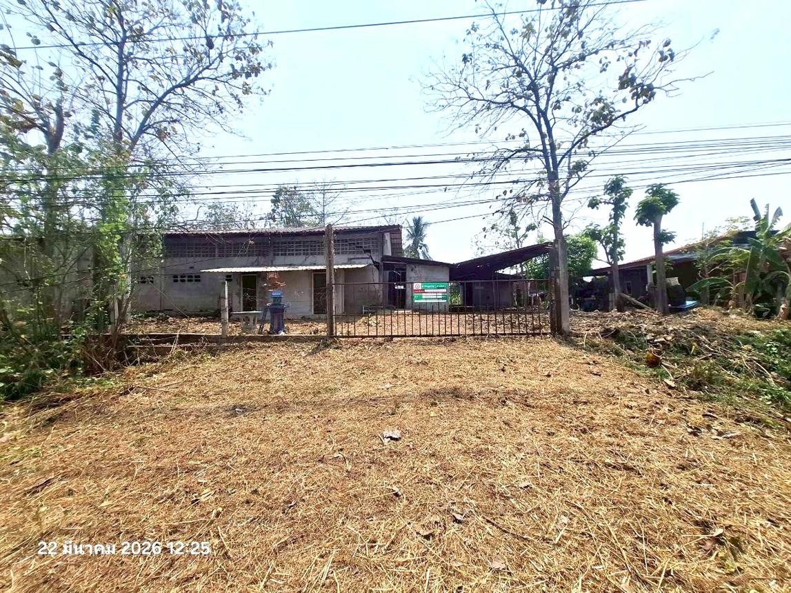 รูป ฟาร์ม 848.1 ตร.วา ศรีสำโรง สุโขทัย 2.2M - รูปที่ 15/31