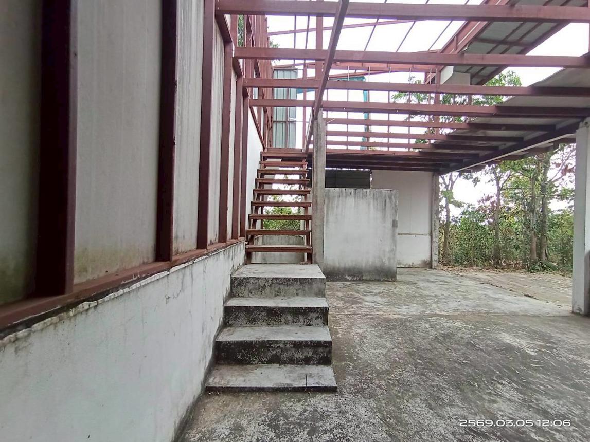 รูป โกดัง 553 ตร.วา นามน กาฬสินธุ์ 928,000 - รูปที่ 26/33