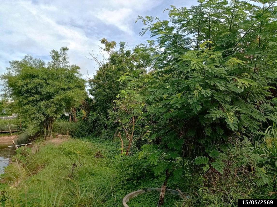 รูป ที่ดินว่างเปล่า 1124.3 ตร.วา เมืองสกลนคร สกลนคร 1.4M - รูปที่ 17/23