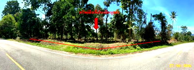 Land for sale Narathiwat : LAND 440 Sq.w. Si Sakhon Narathiwat for 660,000