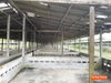 listing thumbnail image 23