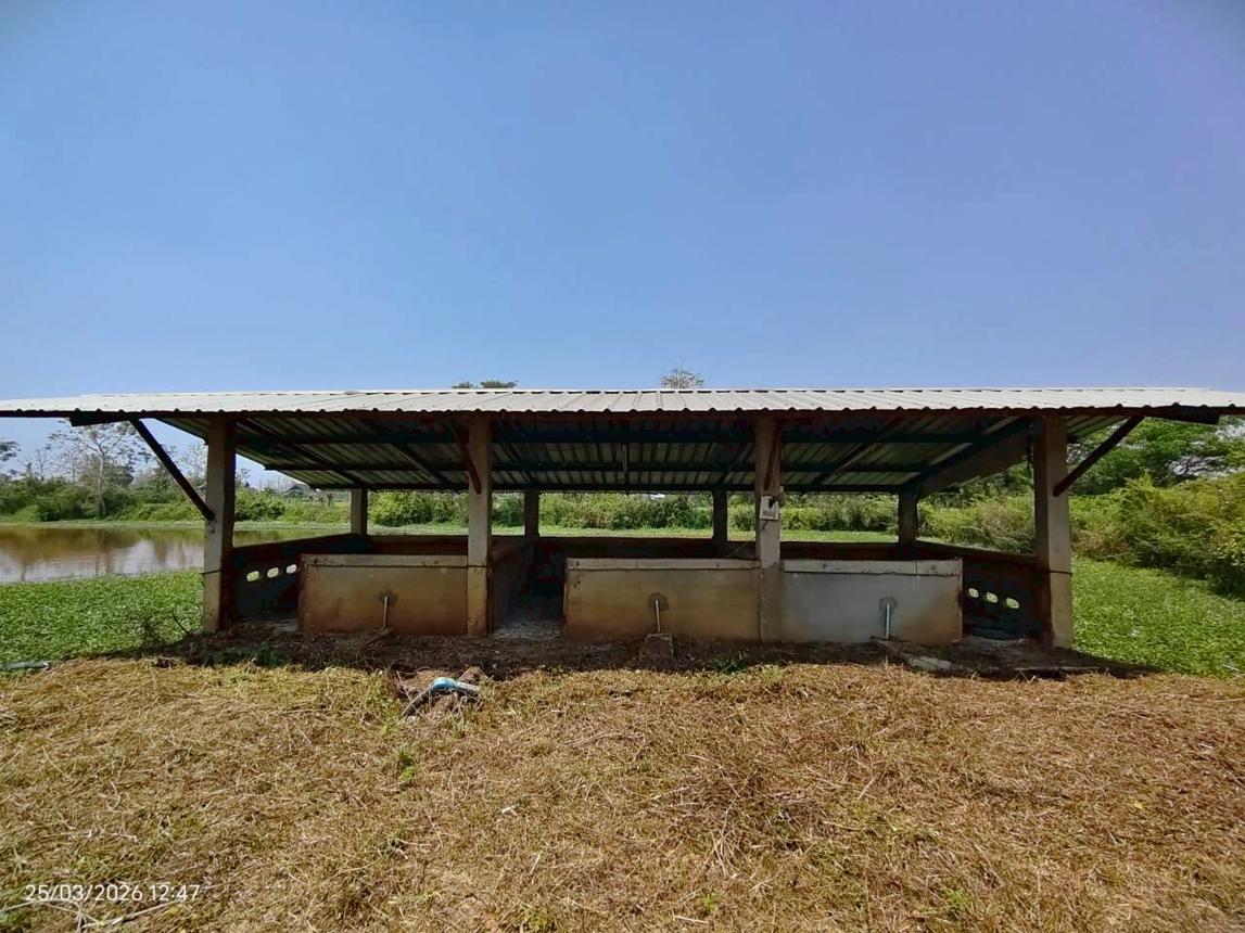 รูป โกดัง 8576 ตร.วา พาน เชียงราย 7.7M - รูปที่ 36/43
