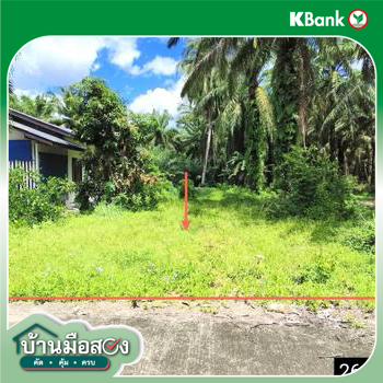 picture LAND 67 Sq.w. Chaiya Surat Thani for 359,000 - 13/15