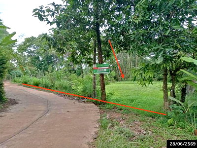 ขายที่ดิน : ที่ดินว่างเปล่า 1358 ตร.วา พรรณานิคม สกลนคร 1.1M