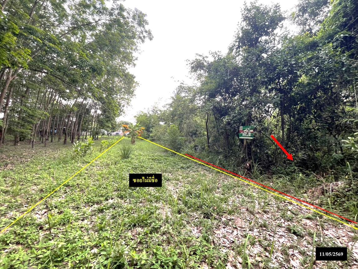 รูป ที่ดินว่างเปล่า 179 ตร.วา ส่องดาว สกลนคร 286,000 - รูปที่ 14/19