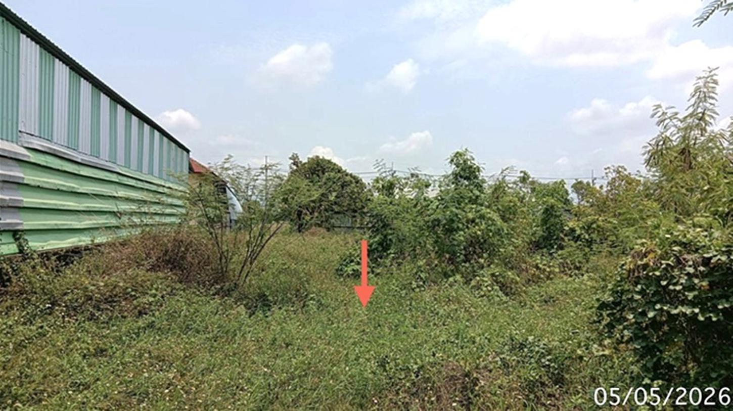 picture LAND 982.1 Sq.w. Muang Phrae Phrae for 3.1M - 12/19