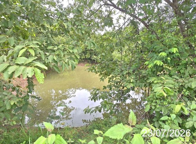 รูป ที่ดินว่างเปล่า 278 ตร.วา บ้านสวนอรุณุร่ง เมืองลำปาง ลำปาง 528,000 - รูปที่ 5/17