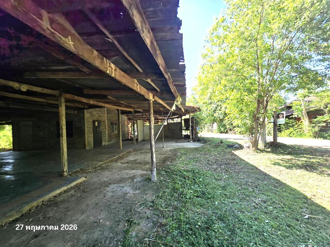 รูป บ้านเดี่ยว 135 ตร.วา หันคา ชัยนาท 387,000 - รูปที่ 21/41