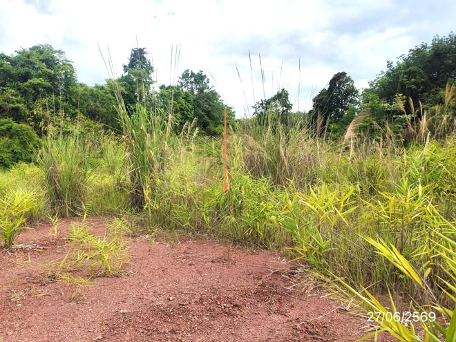 รูป ที่ดินว่างเปล่า 2402 ตร.วา ภูซาง พะเยา 730,000 - รูปที่ 8/21