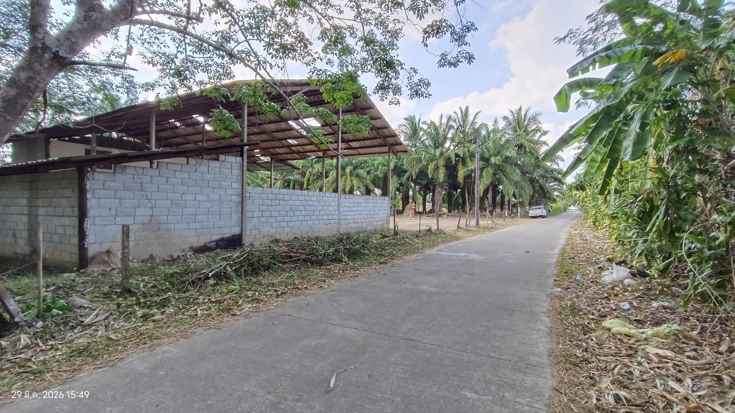 picture FACTORY 1620.3 Sq.w. Huai Yot Trang for 4.8M - 19/35