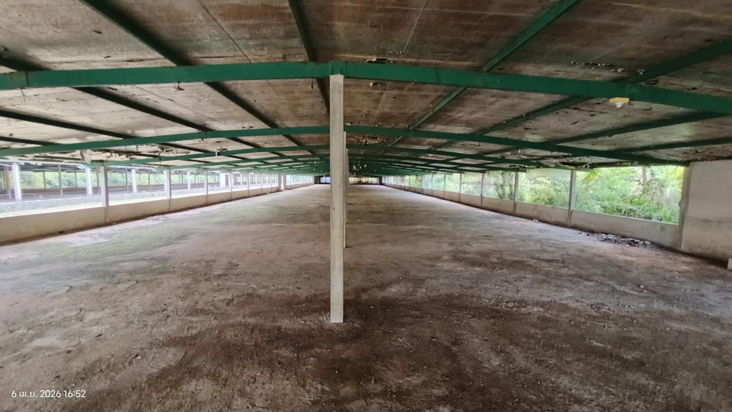 รูป ฟาร์ม 3464 ตร.วา สทิงพระ สงขลา 6.9M - รูปที่ 24/41