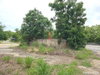 listing thumbnail image 40