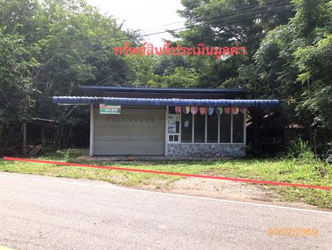 รูป บ้านเดี่ยว 110 ตร.วา พุนพิน สุราษฎร์ธานี 1.3M - รูปที่ 28/31