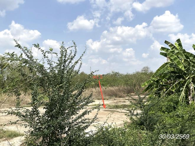 รูป บ้านเดี่ยว 5290 ตร.วา ศรีมหาโพธิ ปราจีนบุรี 12.8M - รูปที่ 15/43