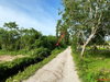 listing thumbnail image 10