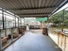 listing thumbnail image 35