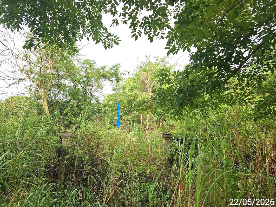 รูป ที่ดินว่างเปล่า 886 ตร.วา ตะพานหิน พิจิตร 1.4M - รูปที่ 10/15
