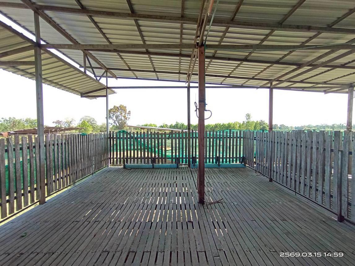 รูป โกดัง 12659 ตร.วา พยัคฆภูมิพิสัย มหาสารคาม 5.4M - รูปที่ 46/51