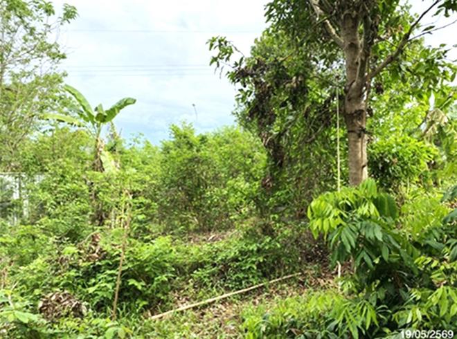 รูป ที่ดินว่างเปล่า 361.9 ตร.วา จะนะ สงขลา 1.5M - รูปที่ 8/25