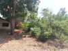 listing thumbnail image 20