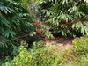 listing thumbnail image 34