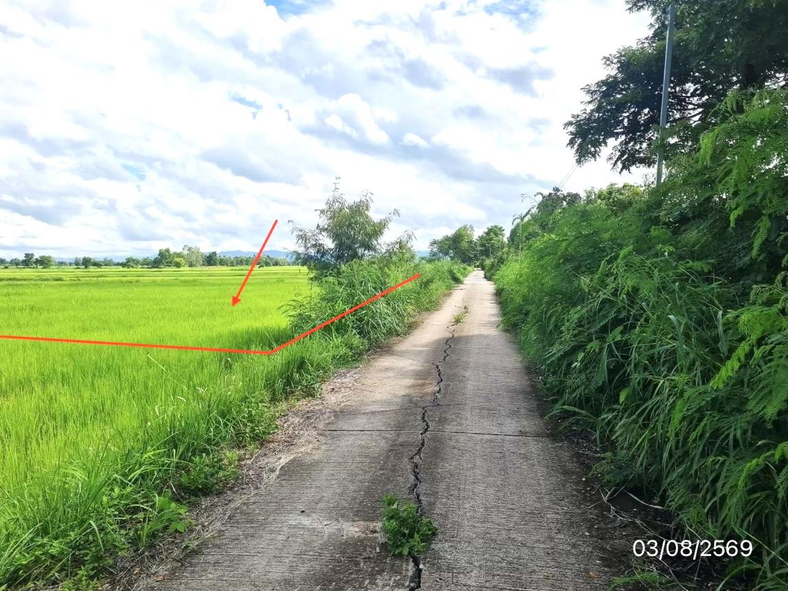 picture LAND 2203 Sq.w. Chun Phayao for 1.7M - 16/21