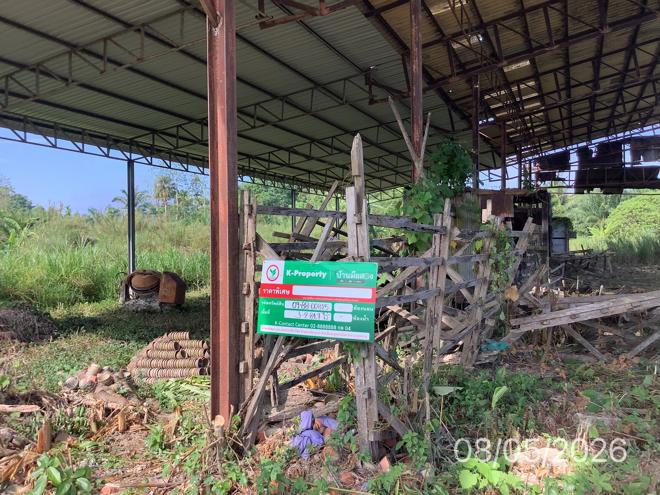 picture FACTORY 1484.7 Sq.w. Chawang Nakhon Sri Thammarat for 7.6M - 6/25