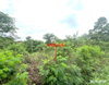 listing thumbnail image 17