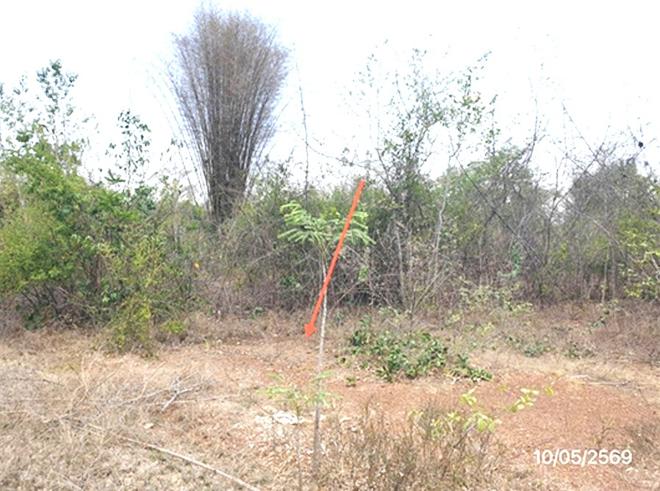 picture LAND 746 Sq.w. Mae Tha Lamphang for 996,000 - 11/25