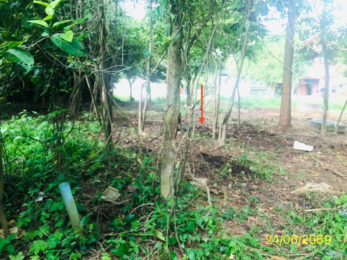 picture LAND 99.8 Sq.w. Hat Yai Songkhla for 569,000 - 14/21