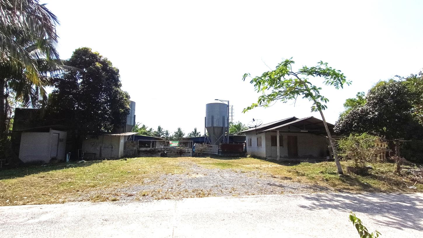 รูป ฟาร์ม 1603 ตร.วา เมืองพัทลุง พัทลุง 5.7M - รูปที่ 21/43