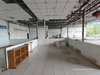listing thumbnail image 43